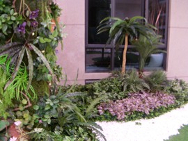 徐生，编导主播照片