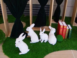 徐生，编导主播照片