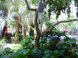 徐生，编导主播照片