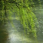 远方飘来的云|跟着疯主播照片