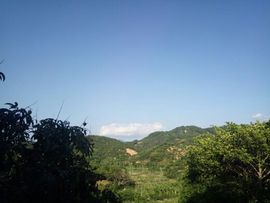 楚楚cZ❤主播照片
