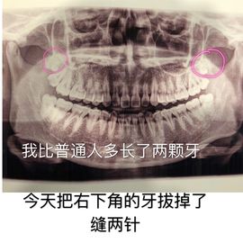 小小西521主播照片