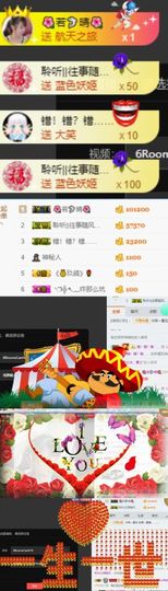 海鸽晚上见主播照片