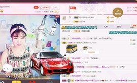 一只雁~主播照片