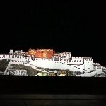 逗逗👯海报