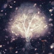 火舞123