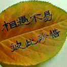 思美l