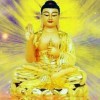更改昵称0