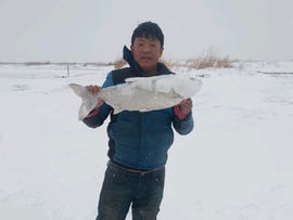 灌木林123主播照片