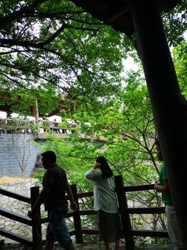 嘟嘟在等你主播照片