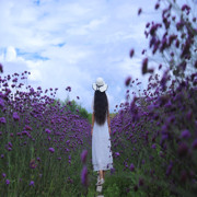 小秋葵妈妈