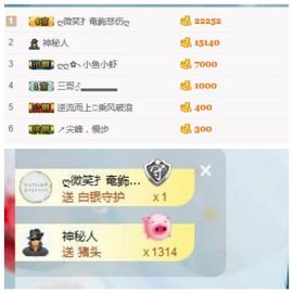 小琪学习中……主播照片