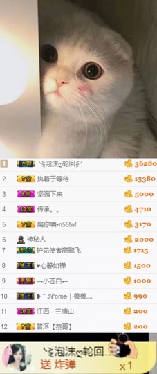 小小扁主播照片