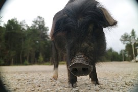 胖虎摩旅骑行中国主播照片