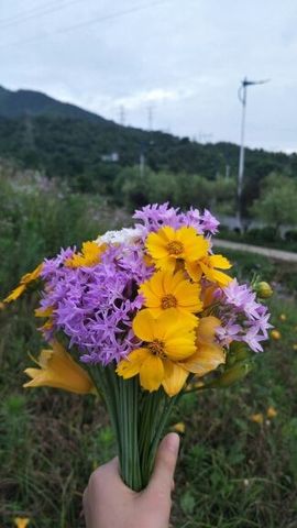 信儿🌸在�等一个可能主播照片