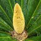 知心爱人1*的头像