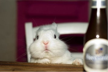 ✨baby🌙的主播照片