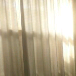 蓝莓纷飞🌴🍃主播照片