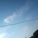 我心向阳e海报