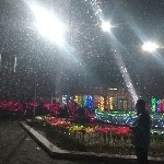 杨妹2号