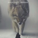 听歌的鱻【老土冒】