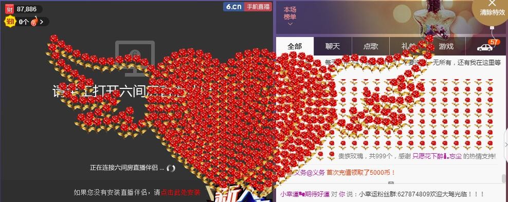 58426685主播照片