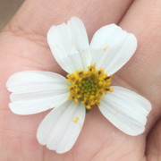 下了一场雨、