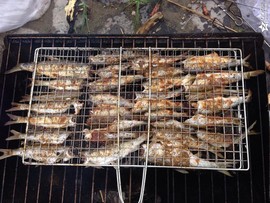 『迷糊』主播照片