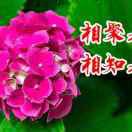似曾相识$sz