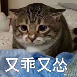 小鱼丸嘿🐟主播照片