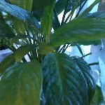 昵称违规，请重新修改