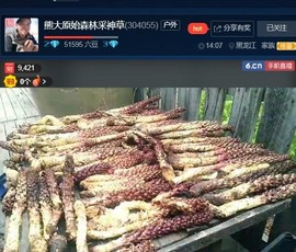 熊大武汉重庆成都藏区主播照片