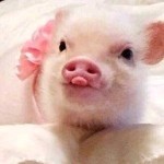 VIDAA-刺眼