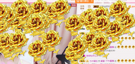 故乡111主播照片