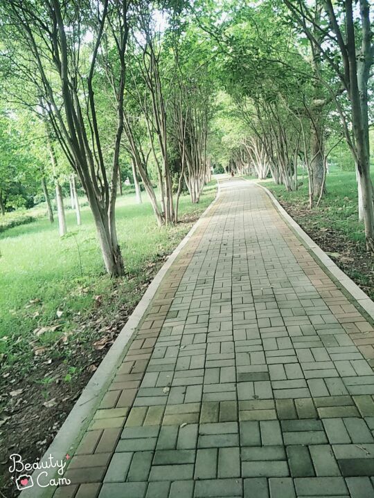 最爱卡卡⊙﹏⊙的主播照片