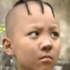 三毛流浪1t