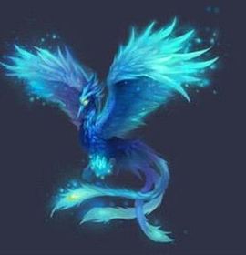 仙道至尊一龙阳主播照片
