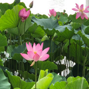 微信_4673707