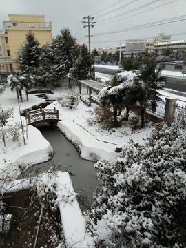 幽谷夜雨主播照片