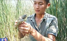 八百米主播照片