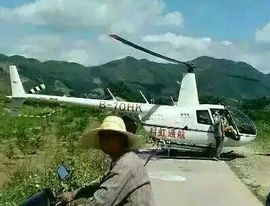 廖e6永福富硒砂糖橘主播照片