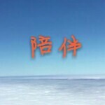 🍁陪💓伴🍁