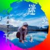 岁月ymv海报