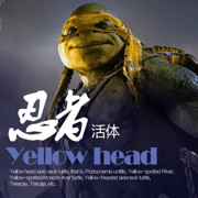 户外垂钓🎣的头像