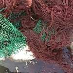 转型中主播照片