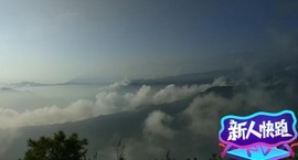 百号星团树平主播照片