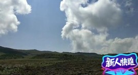 百号星团树平主播照片