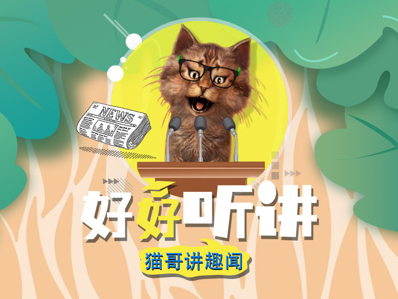 好好听讲的主播海报