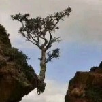 我想酒酒海报