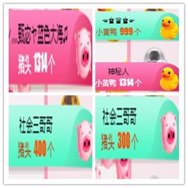 故乡111主播照片